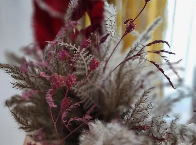 Sweet 21 Appartement *